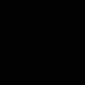 Meet your Posher, Will